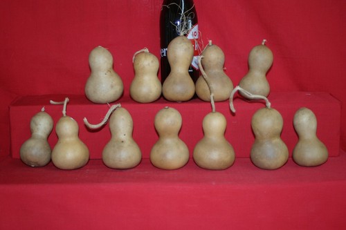 Gourds medium mini - gourds-, 15